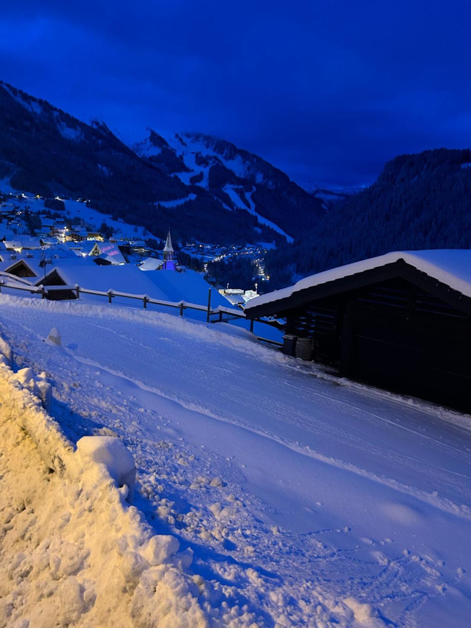Le Hameau Des 4 Saisons Apartment Chatel Bagian luar foto