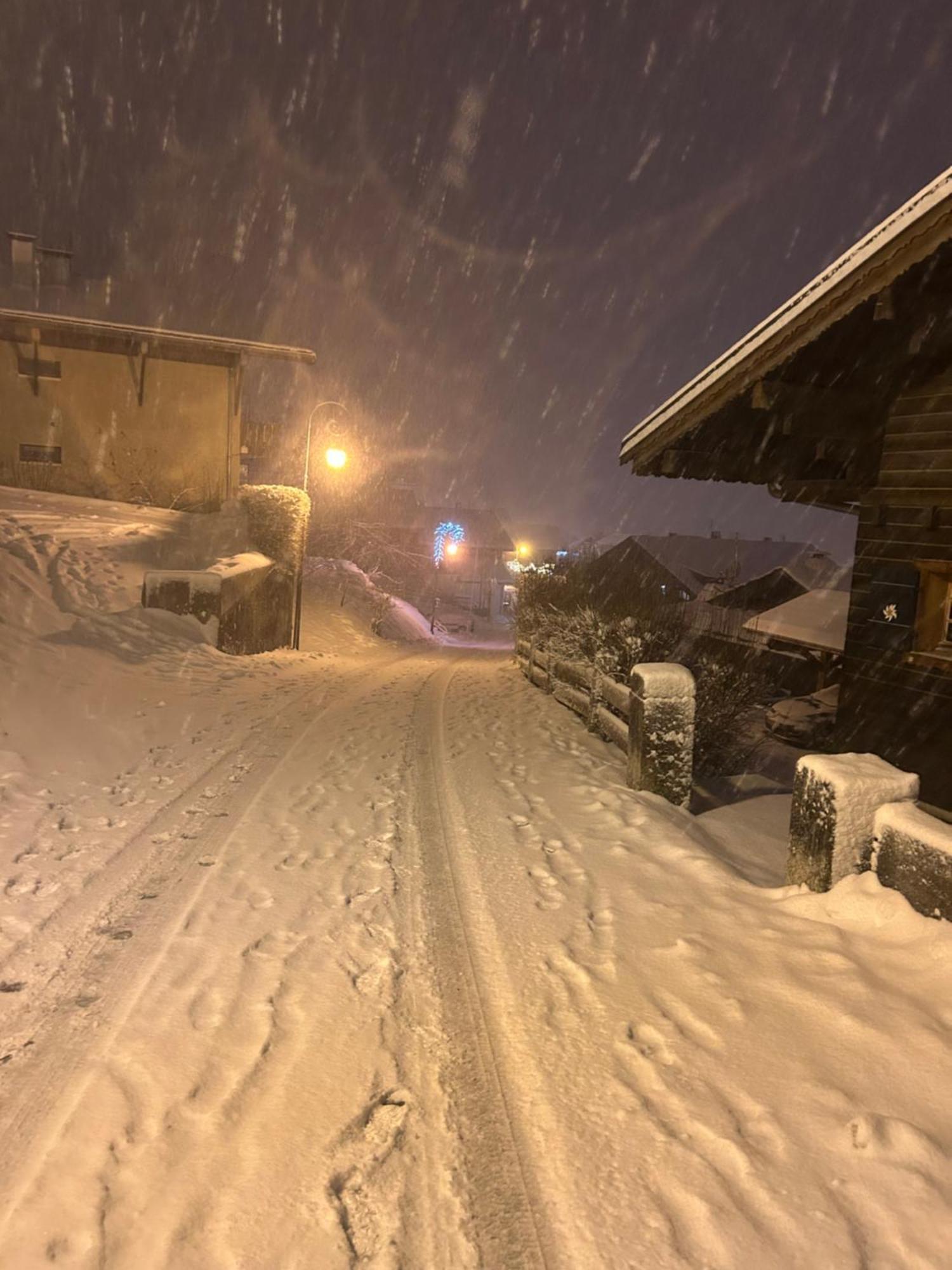 Le Hameau Des 4 Saisons Apartment Chatel Bagian luar foto